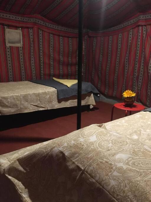 Narsinge Mars Jungle Adventure Stud Farm With Private Jacuzziヴィラ 部屋 写真