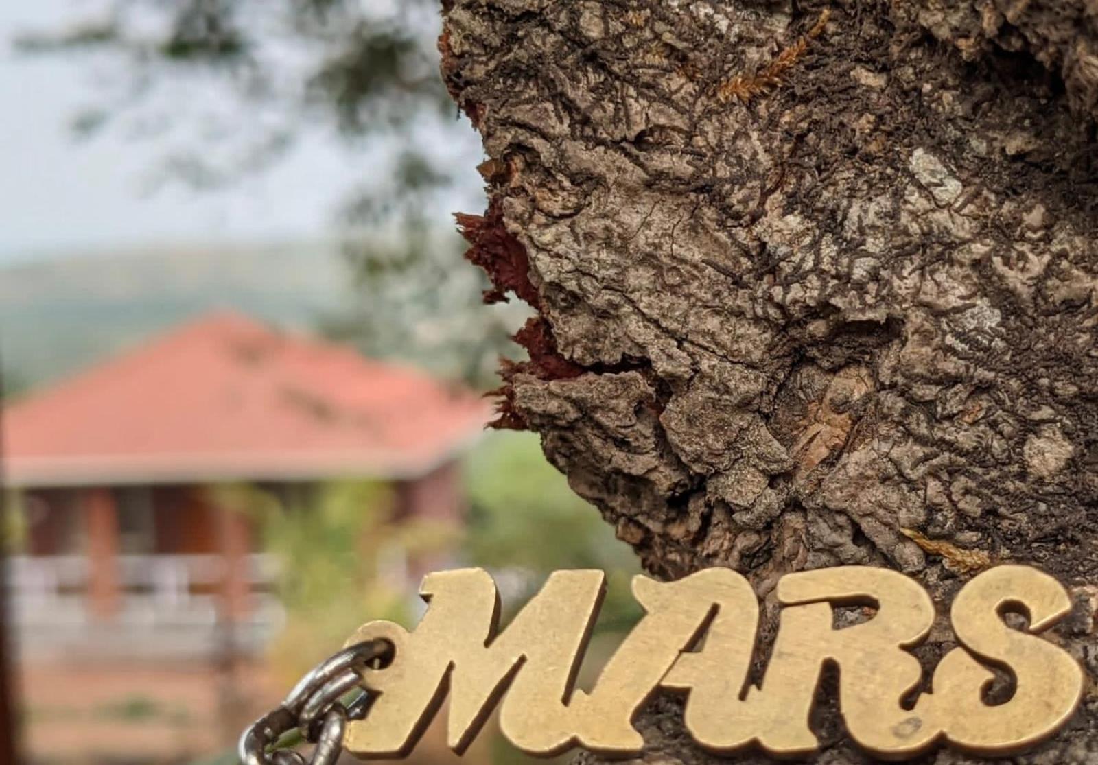 Narsinge Mars Jungle Adventure Stud Farm With Private Jacuzziヴィラ エクステリア 写真