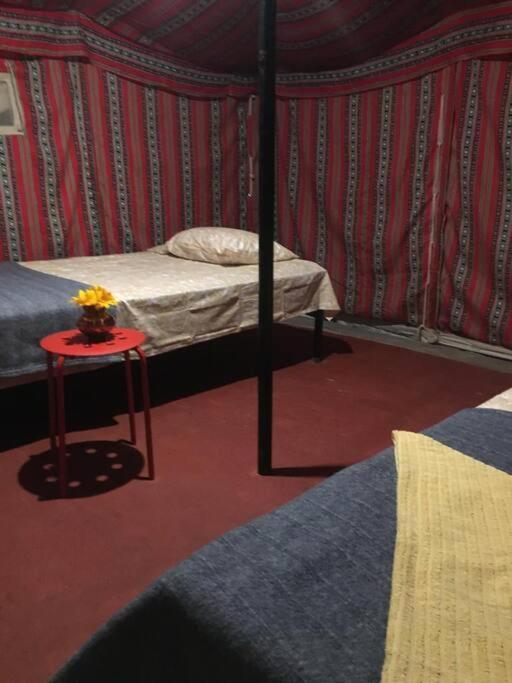 Narsinge Mars Jungle Adventure Stud Farm With Private Jacuzziヴィラ 部屋 写真