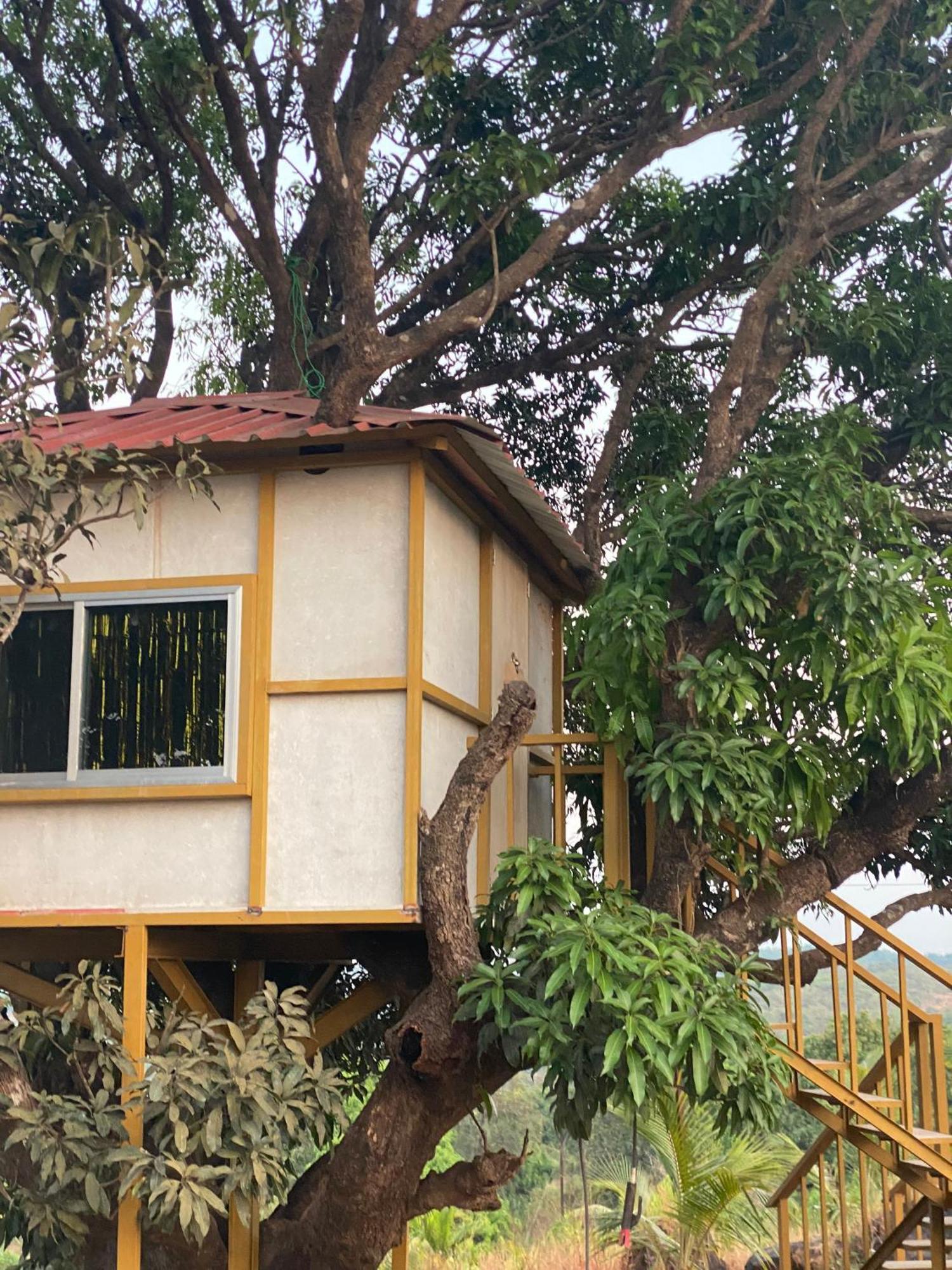 Narsinge Mars Jungle Adventure Stud Farm With Private Jacuzziヴィラ 部屋 写真