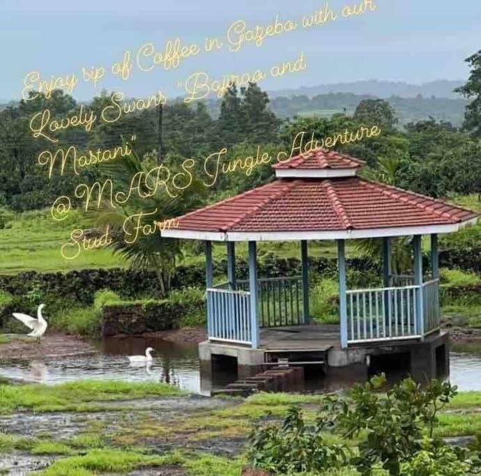 Narsinge Mars Jungle Adventure Stud Farm With Private Jacuzziヴィラ エクステリア 写真